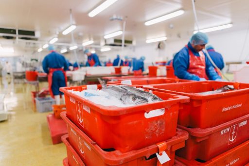 Cattaneo Corporate Finance has advised the shareholders of Falfish on the sale to Morrisons superparket group